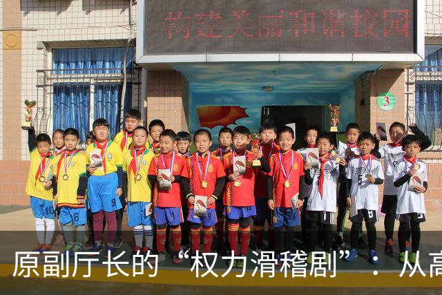 原副厅长的“权力滑稽剧”：从高官到双开